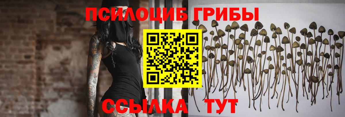 Галлюциногенные грибы ЛСД  Галлюциногенные грибы Cubensis  Шатура  Вход с VPN 